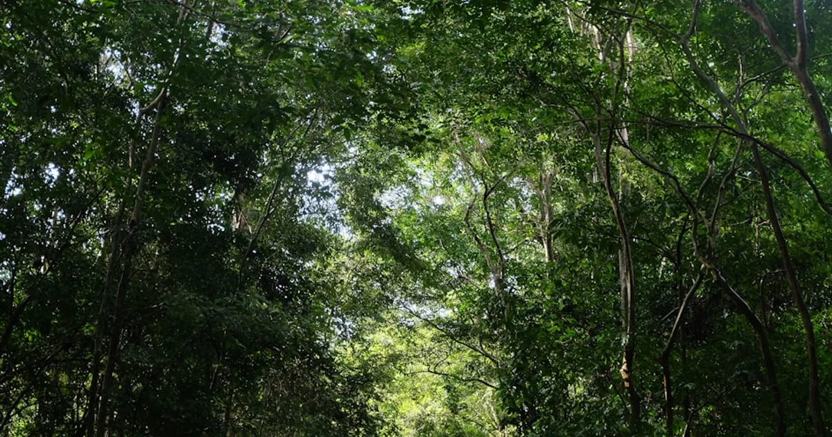 هل دخل كوكبنا مرحلة الاحترار المتسارع؟ مؤشرات مقلقة تكشفها البيانات الحديثة