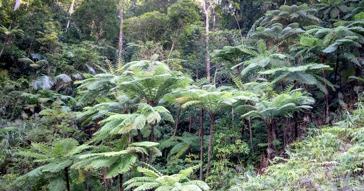 أزمة البحيرات الملحية: لماذا تختفي هذه الكنوز الطبيعية وما هو مصيرها؟